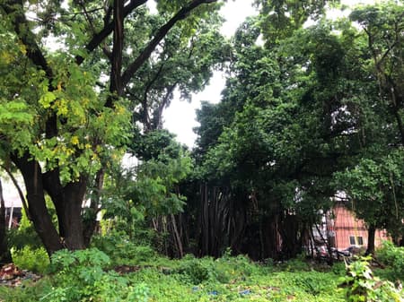 Suan San Pocket Park